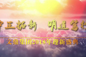文(wén)鼎集團2018迎新年(nián)會(huì)花(huā)絮